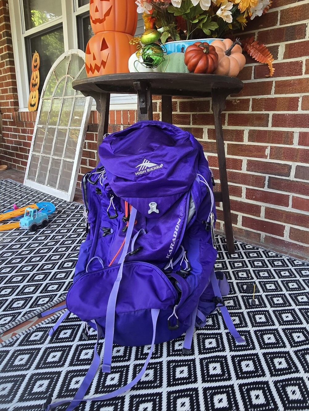 High Sierra Purple Hiking Backpack - Daypack with Multiple Pockets